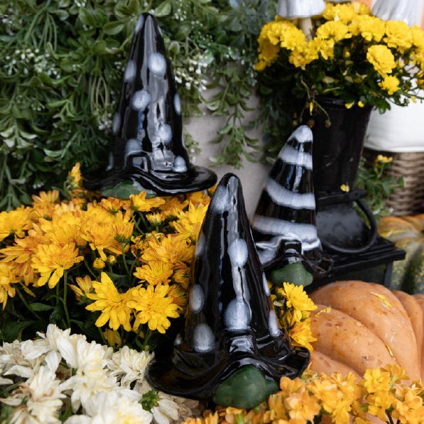 Halloween Witchyz Seasonal Assortment (12-Piece Pack)