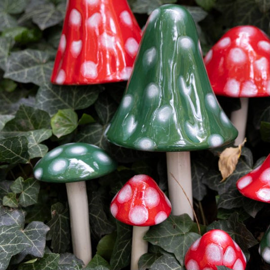 Christmas Shroomyz Assortment (30-Piece Pack)